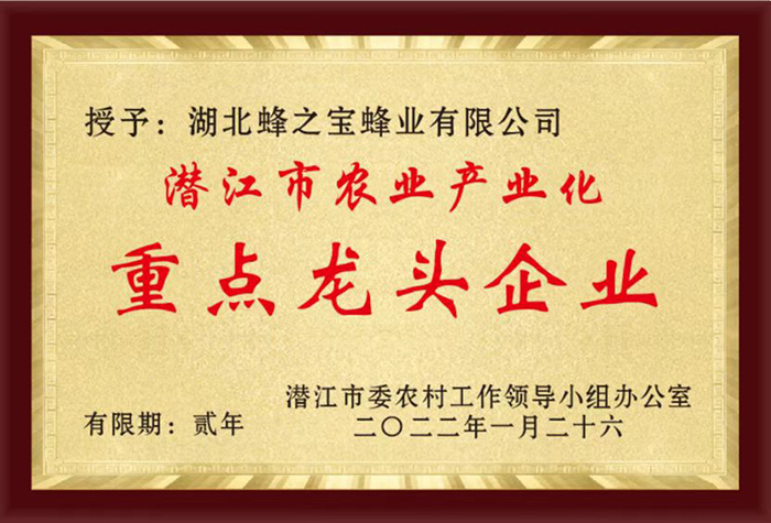 阿克蘇龍頭企業(yè)2022年